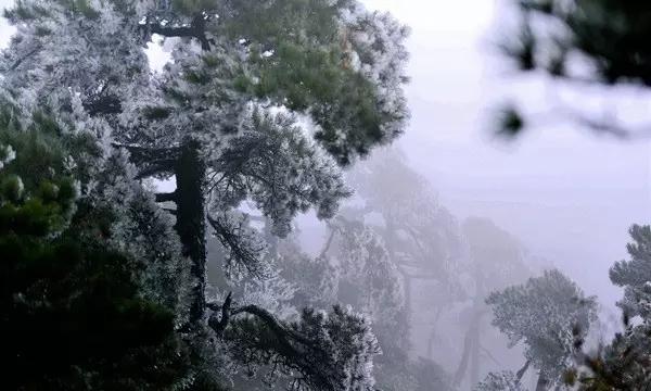 影视工厂