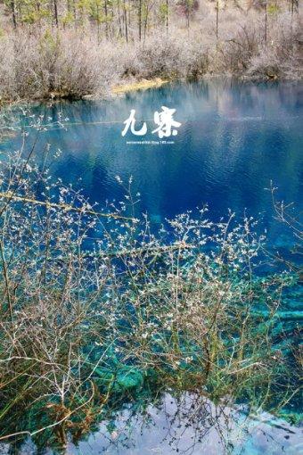 【煤矿瓦斯天天学】541 顺层钻孔,钻孔有效控制范围