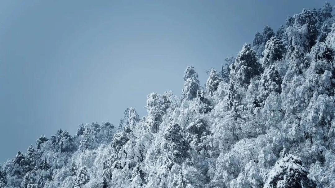 白衬衫冬天怎么搭配-探索与分享的社区平台