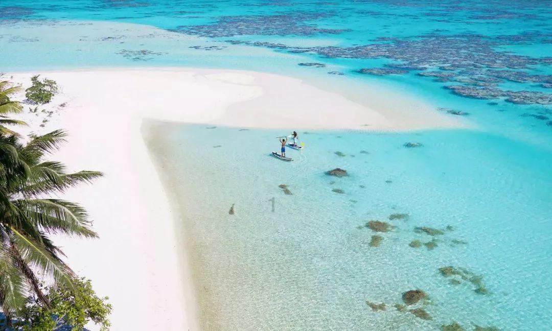 深海鱼救援