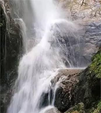 小猫钓鱼游戏龙王版有船