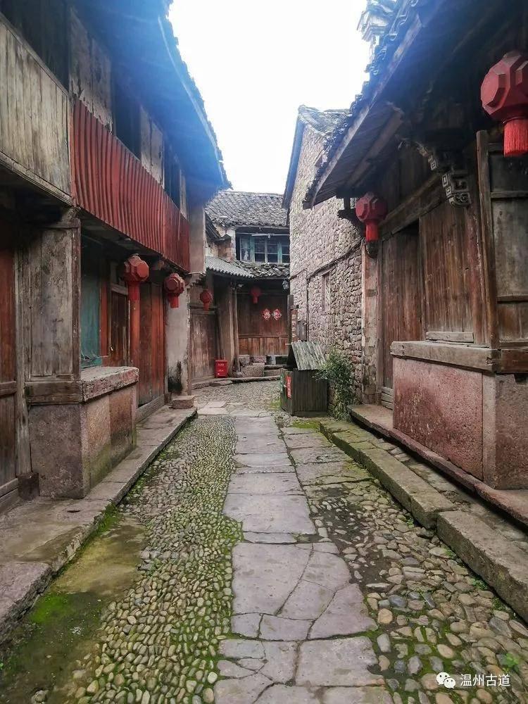 除虫大师