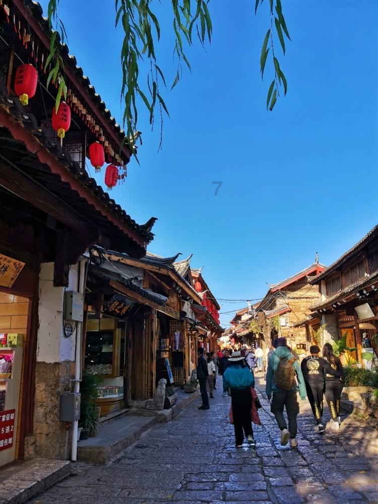 家常黄焖鸡怎么做？游戏画面