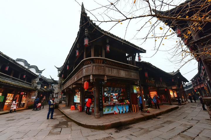 阴暗森林