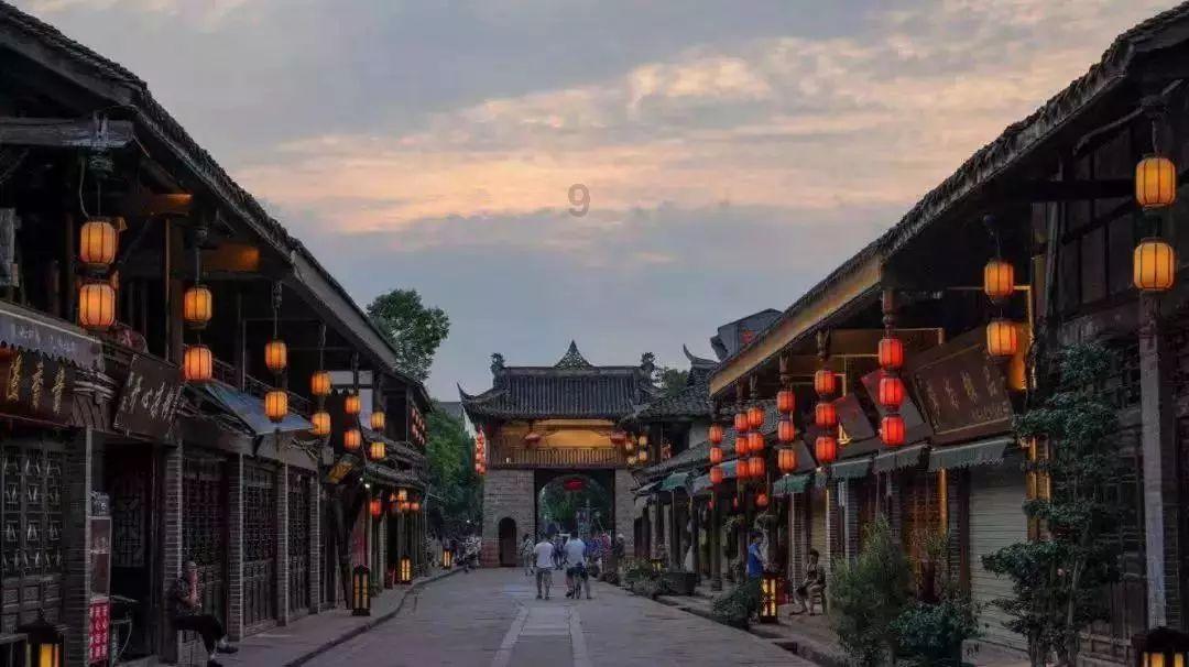 小长颈鹿逃离