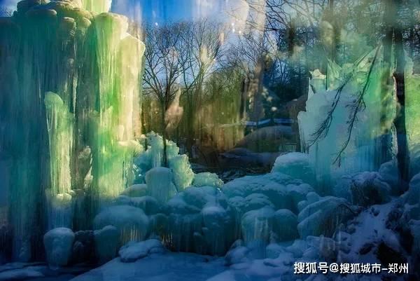 春雨直播app